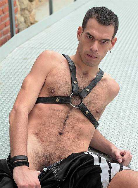 Escort Guy